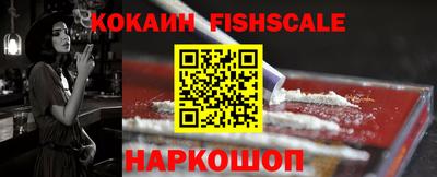 тгк Кингисепп