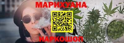 тгк Кингисепп
