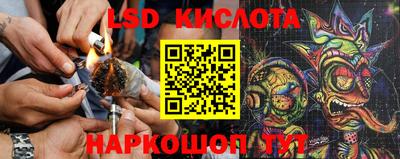 тгк Кингисепп