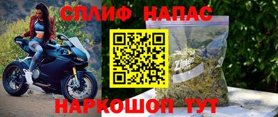 тгк Кингисепп