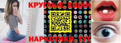 тгк Кингисепп