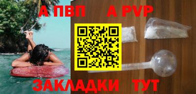 тгк Кингисепп