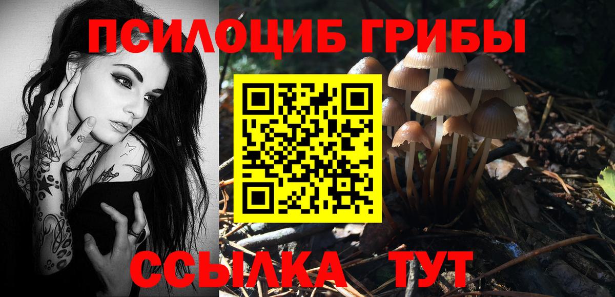 Кызыл  Псилоцибиновые грибы Psilocybine cubensis  где продают   Вход с VPN 